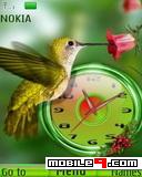 Tema bird clock-Animal
