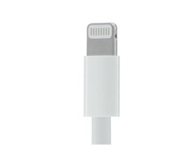 Su nuevo conector de Apple: Lightning